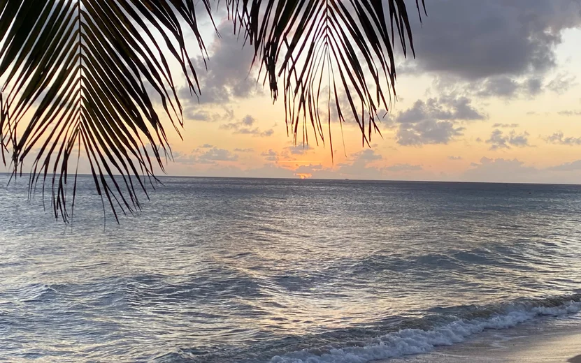 St. Kitts & Nevis